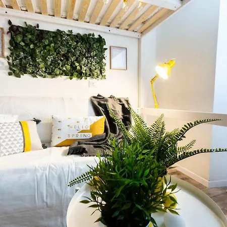 Apartment Mamiani 2